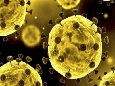 新冠病毒传播初期已高度适应人类，研究称二次暴发可能性较大