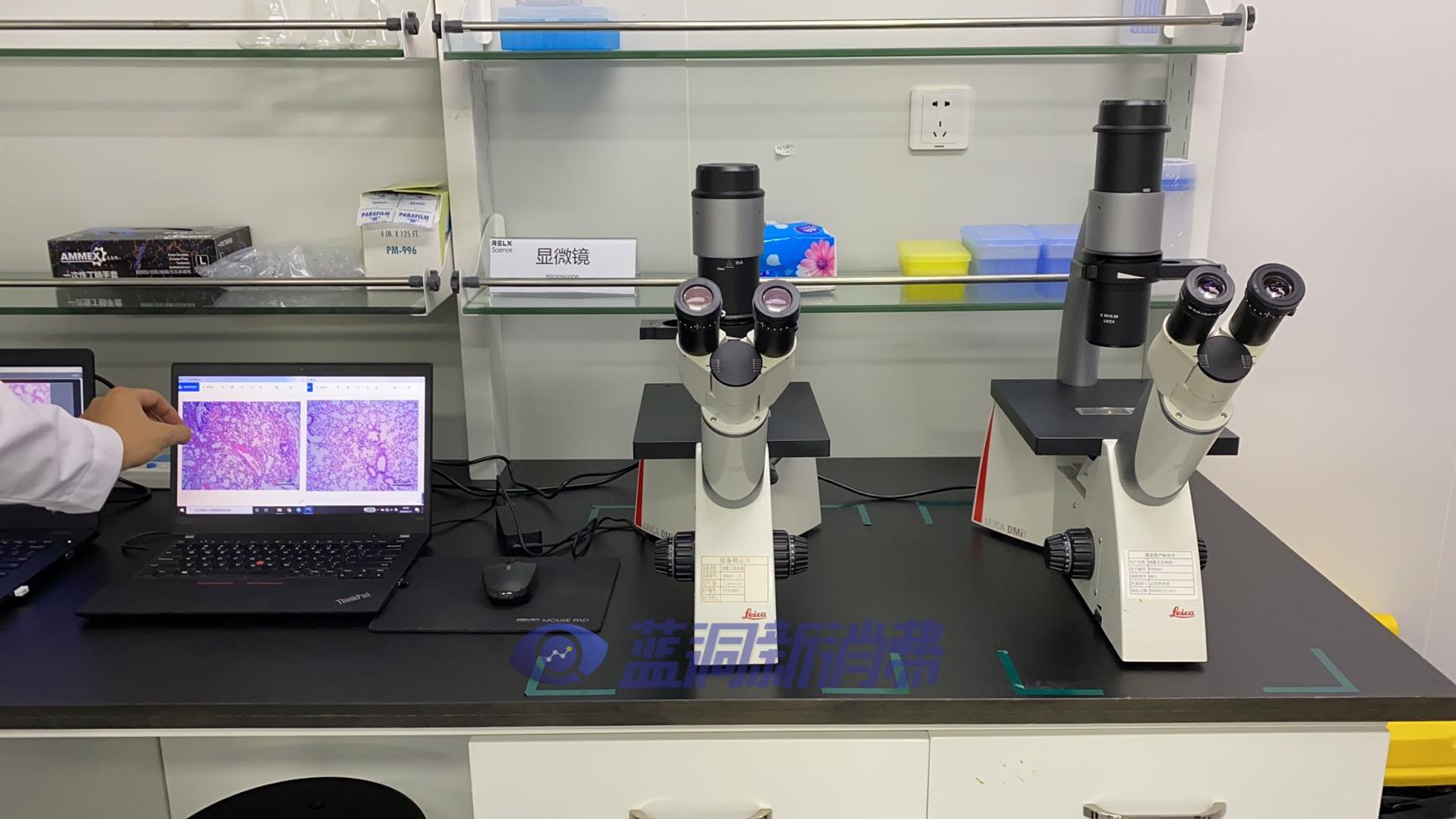 43D699E7-8FD1-4207-83E7-F44E534045C0.jpeg 43D699E7-8FD1-4207-83E7-F44E534045C0.jpeg